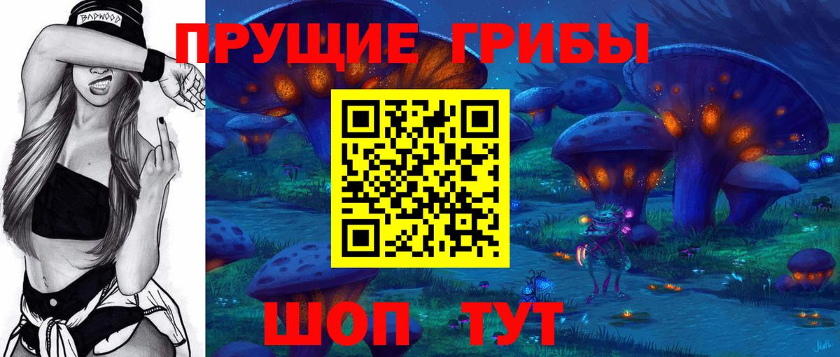 Сальск  Псилоцибиновые грибы Magic Shrooms  Галлюциногенные грибы GOLDEN TEACHER  Вход с VPN 